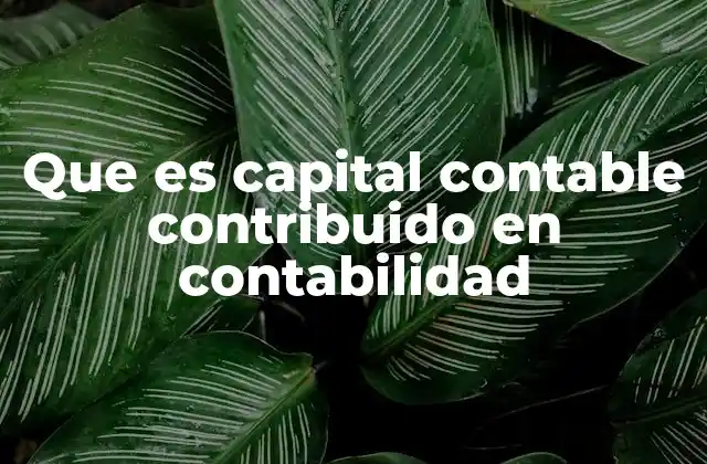 Que es Capital Contable Contribuido en Contabilidad