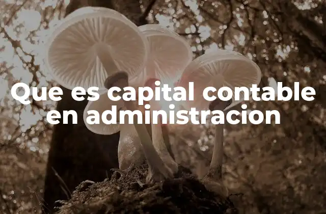 Que es Capital Contable en Administracion