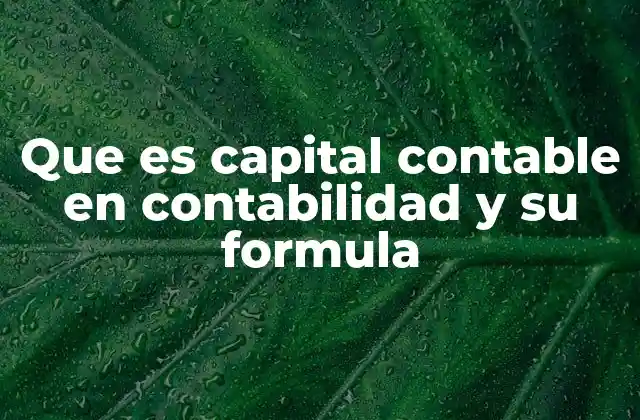 Que es Capital Contable en Contabilidad y Su Formula