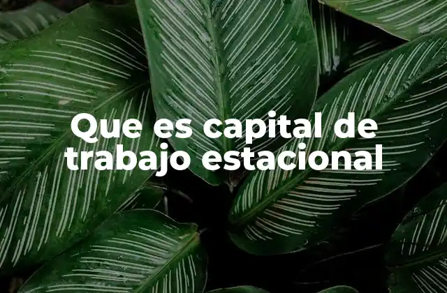 Que es Capital de Trabajo Estacional