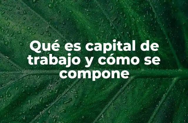 Qué es Capital de Trabajo y Cómo Se Compone