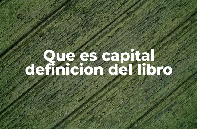 Que es Capital Definicion Del Libro