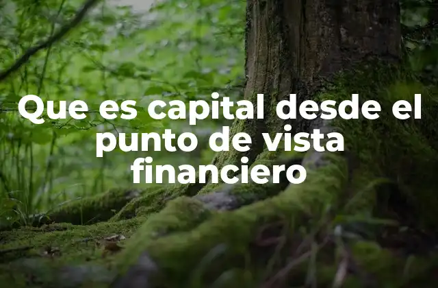 Que es Capital desde el Punto de Vista Financiero