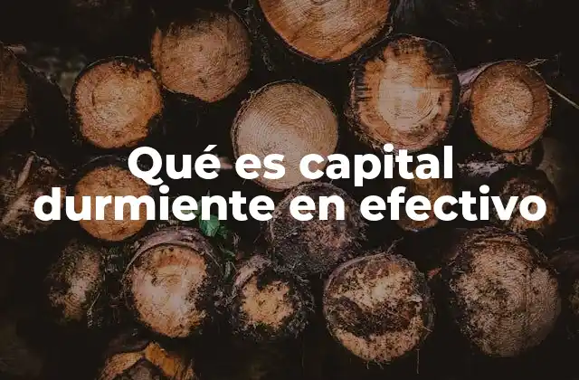 Qué es Capital Durmiente en Efectivo 2 El impacto del capital inactivo en la economía personal
