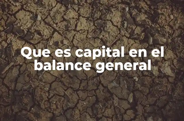 La importancia del capital en la estructura patrimonial