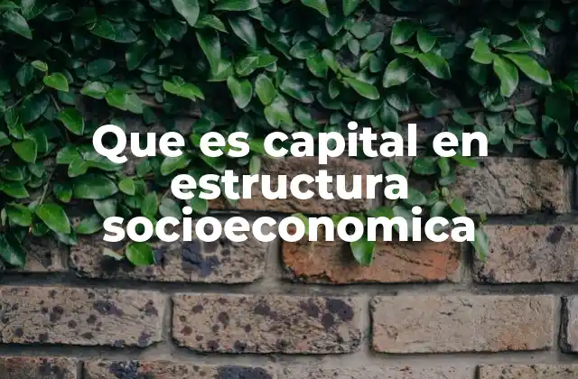Que es Capital en Estructura Socioeconomica