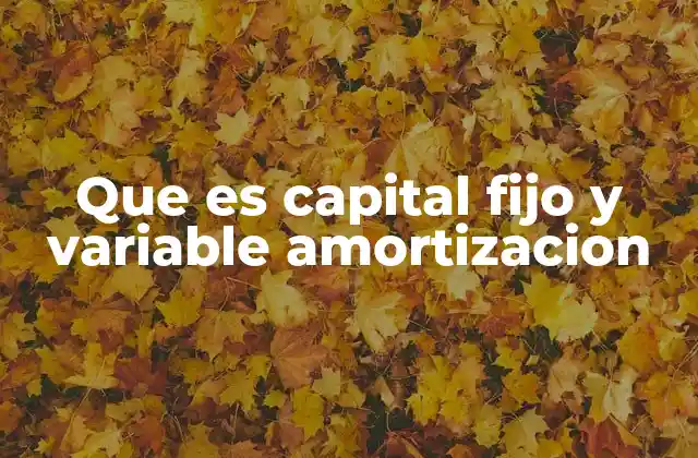 Que es Capital Fijo y Variable Amortizacion