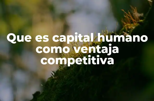 Que es Capital Humano como Ventaja Competitiva 2 Cómo el talento interno impulsa la competitividad