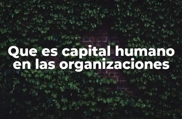 Que es Capital Humano en las Organizaciones