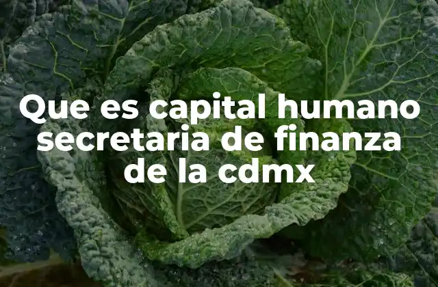 Que es Capital Humano Secretaria de Finanza de la Cdmx
