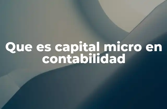 Que es Capital Micro en Contabilidad 2 La importancia del capital micro en la gestión financiera