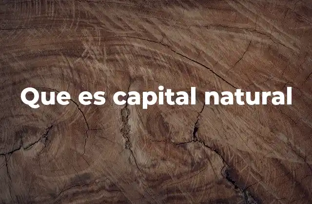 Que es Capital Natural
