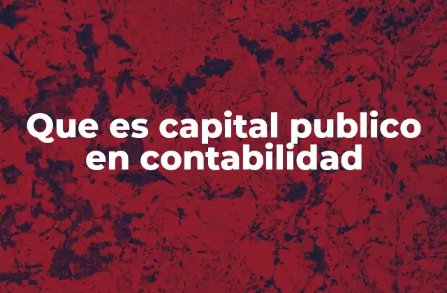 Que es Capital Publico en Contabilidad