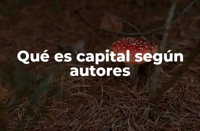 Qué es Capital según Autores