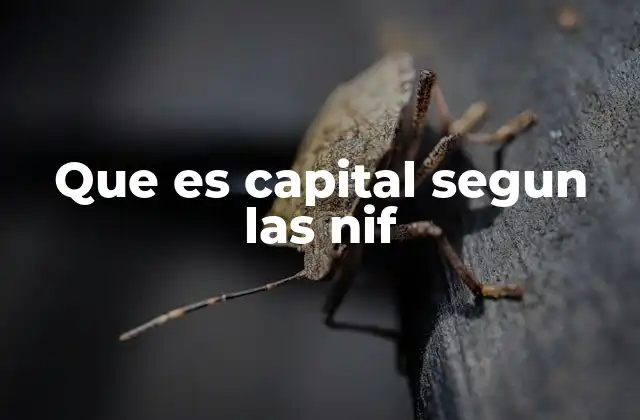 Que es Capital Segun las Nif