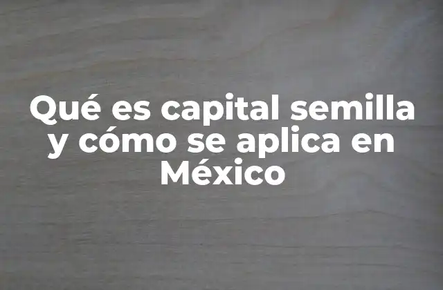 El papel del capital semilla en la economía mexicana
