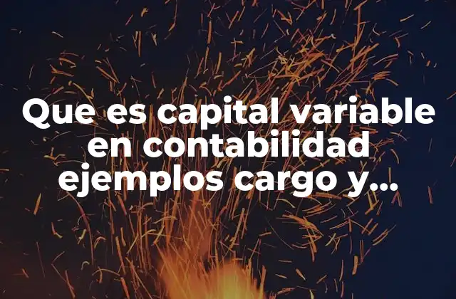 Que es Capital Variable en Contabilidad Ejemplos Cargo y Abono