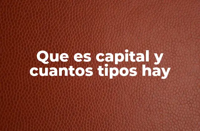 Que es Capital y Cuantos Tipos Hay