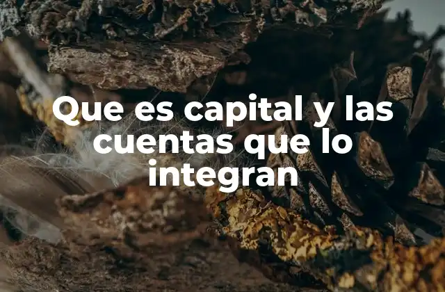 Que es Capital y las Cuentas que Lo Integran