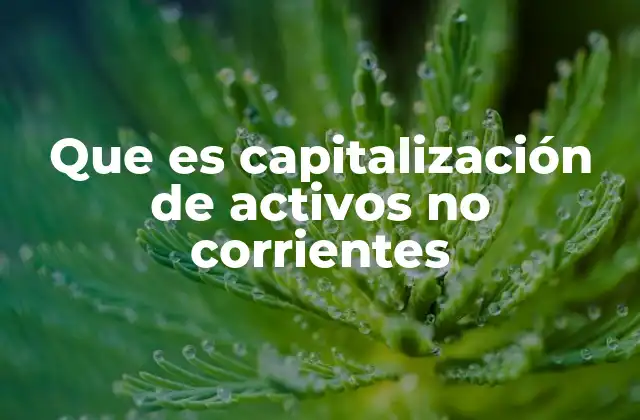 Que es Capitalización de Activos No Corrientes