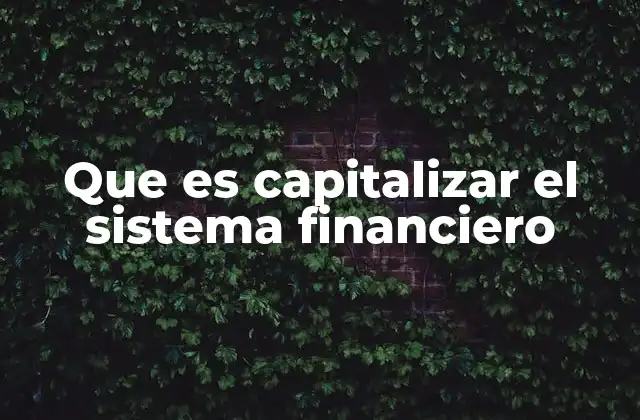 Que es Capitalizar el Sistema Financiero