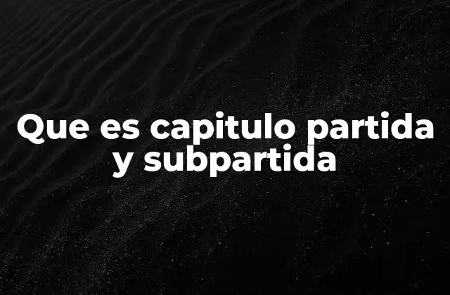Que es Capitulo Partida y Subpartida