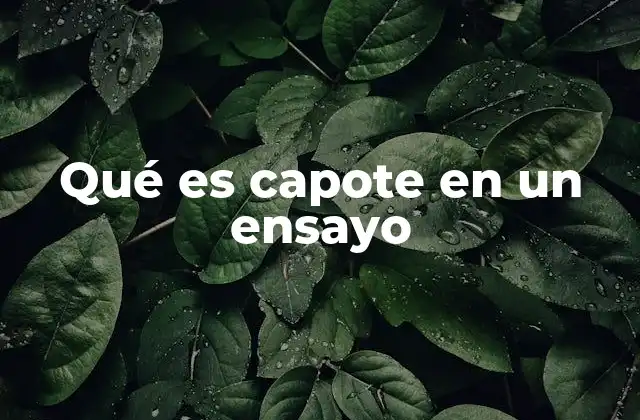 Qué es Capote en un Ensayo