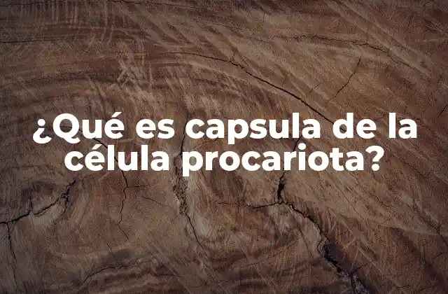 ¿qué es Capsula de la Célula Procariota?