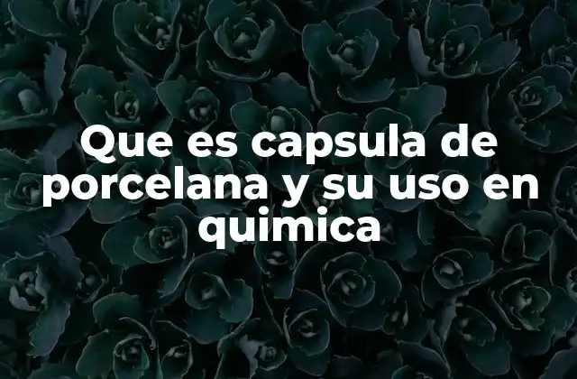 Que es Capsula de Porcelana y Su Uso en Quimica