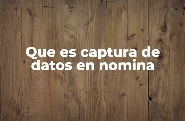 Que es Captura de Datos en Nomina 2 Importancia de la captura de datos en la gestión laboral