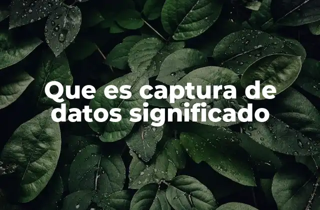 Que es Captura de Datos Significado
