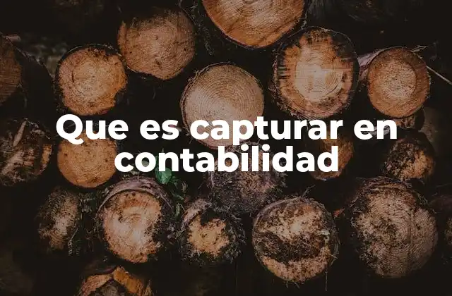 Que es Capturar en Contabilidad