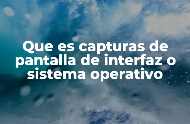 Que es Capturas de Pantalla de Interfaz o Sistema Operativo