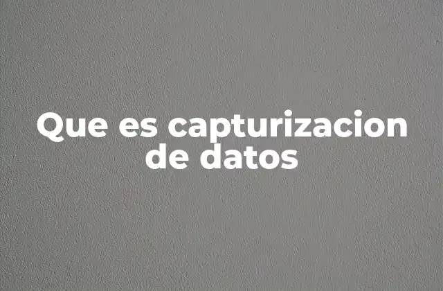 Que es Capturizacion de Datos