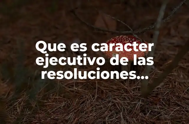 Que es Caracter Ejecutivo de las Resoluciones Administrativas 2 La relevancia del carácter ejecutivo en el derecho administrativo