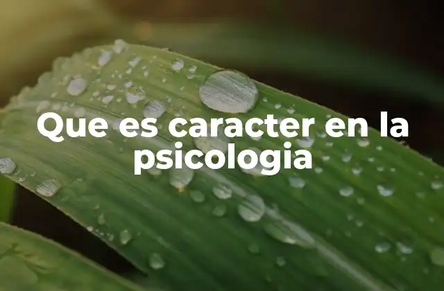 Que es Caracter en la Psicologia 2 El carácter como base para el desarrollo personal