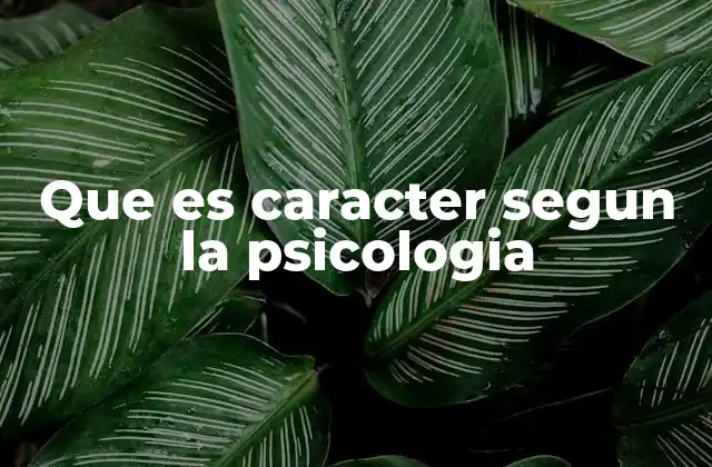 Que es Caracter Segun la Psicologia