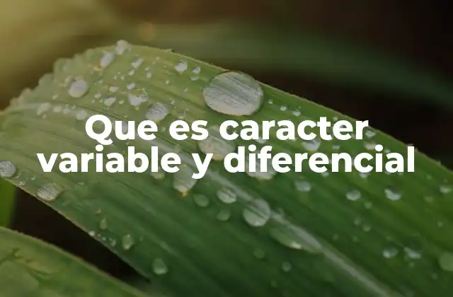 Que es Caracter Variable y Diferencial