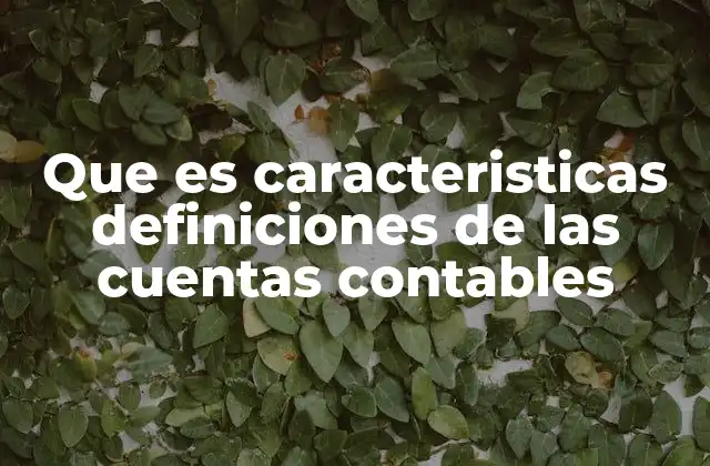 Que es Caracteristicas Definiciones de las Cuentas Contables