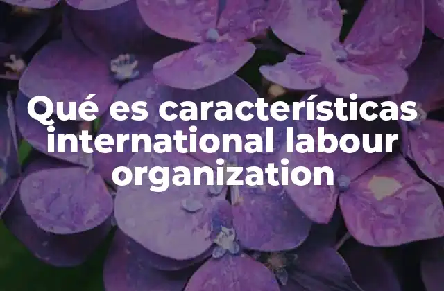 Qué es Características International Labour Organization