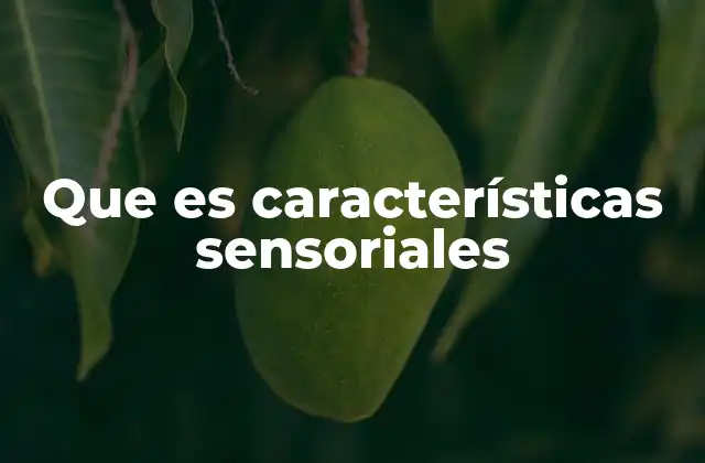 Que es Características Sensoriales 2 El rol de los sentidos en la percepción sensorial