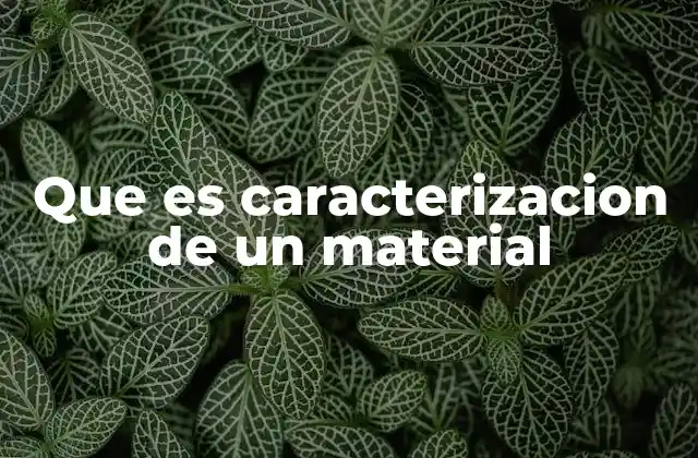 Que es Caracterizacion de un Material