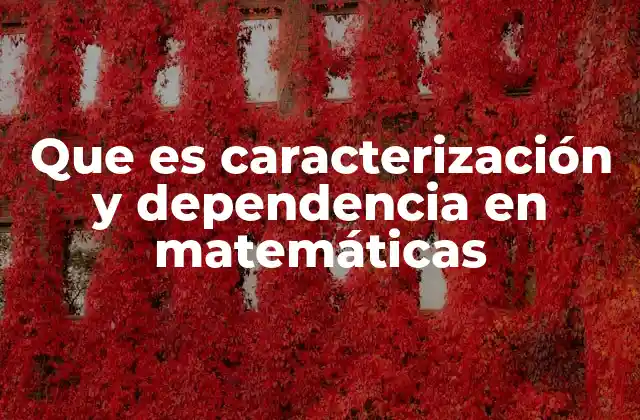 Que es Caracterización y Dependencia en Matemáticas