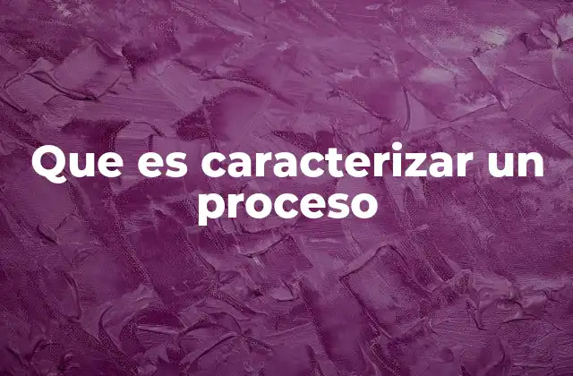 Que es Caracterizar un Proceso