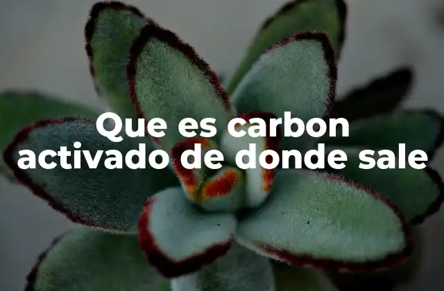 Que es Carbon Activado de Donde Sale