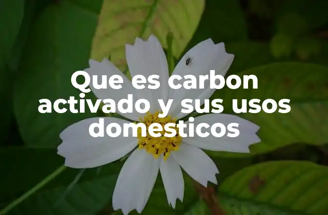 Que es Carbon Activado y Sus Usos Domesticos 2 Usos del carbón activado en el hogar