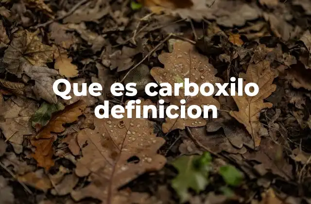 Que es Carboxilo Definicion