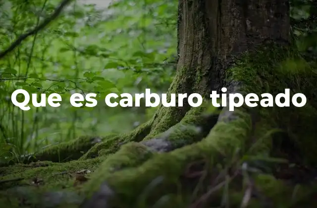 Que es Carburo Tipeado