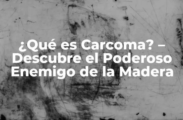 ¿qué es Carcoma? - Descubre el Poderoso Enemigo de la Madera 2 ¿Cuáles son los Tipos de Carcoma que Existen?
