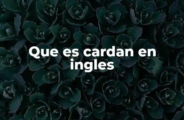 Que es Cardan en Ingles